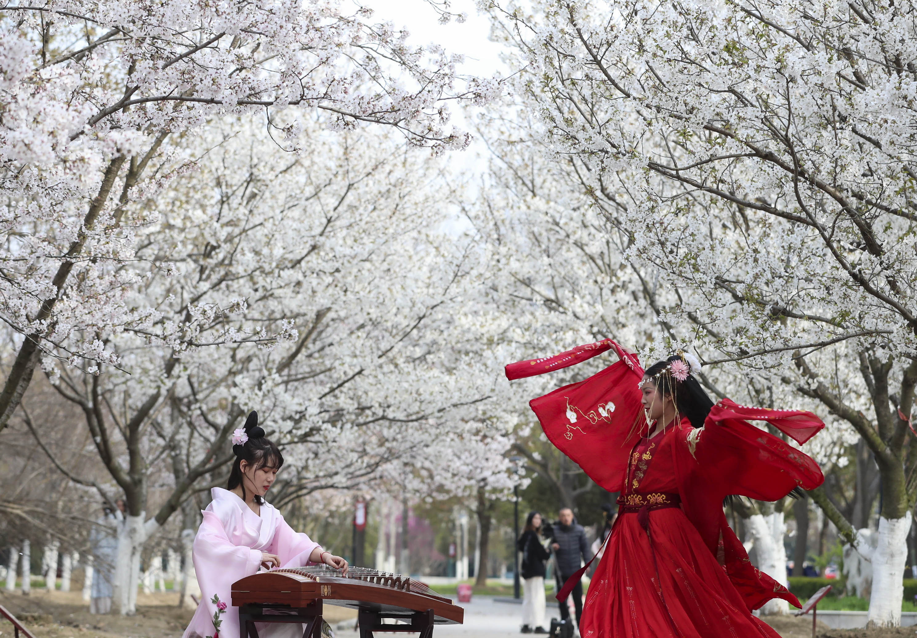 [学习强国] 淮安：校园花朝节 邂逅春天里的花事